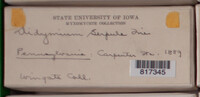 Image Associated With the Occurence